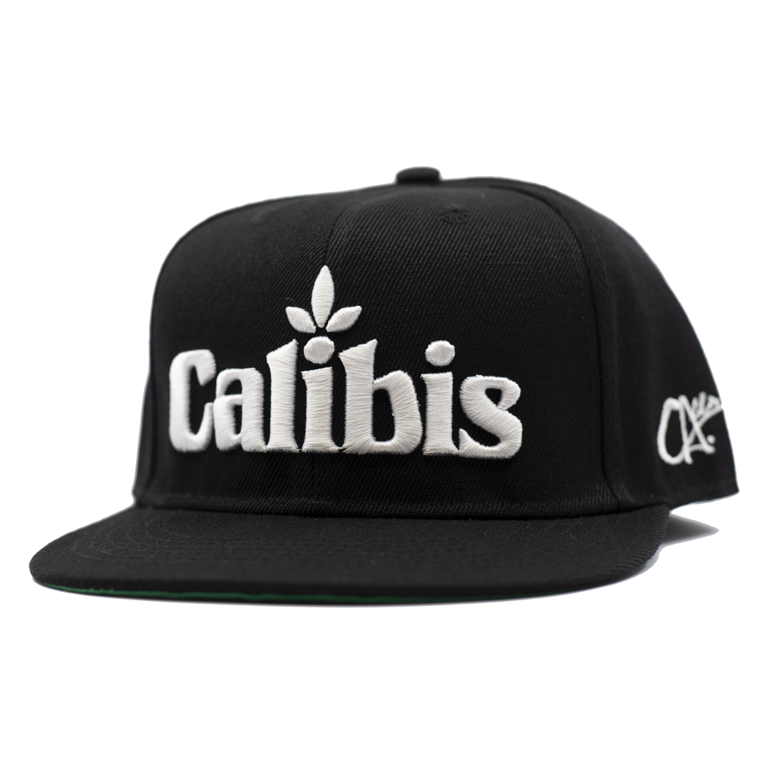 Habit Snapback Hat