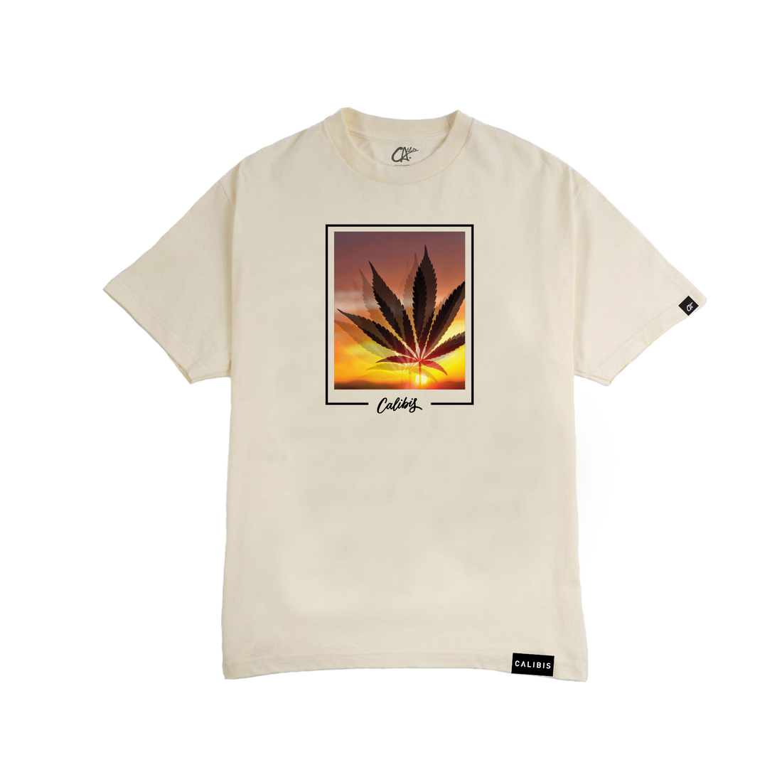 Vibrant T-Shirt